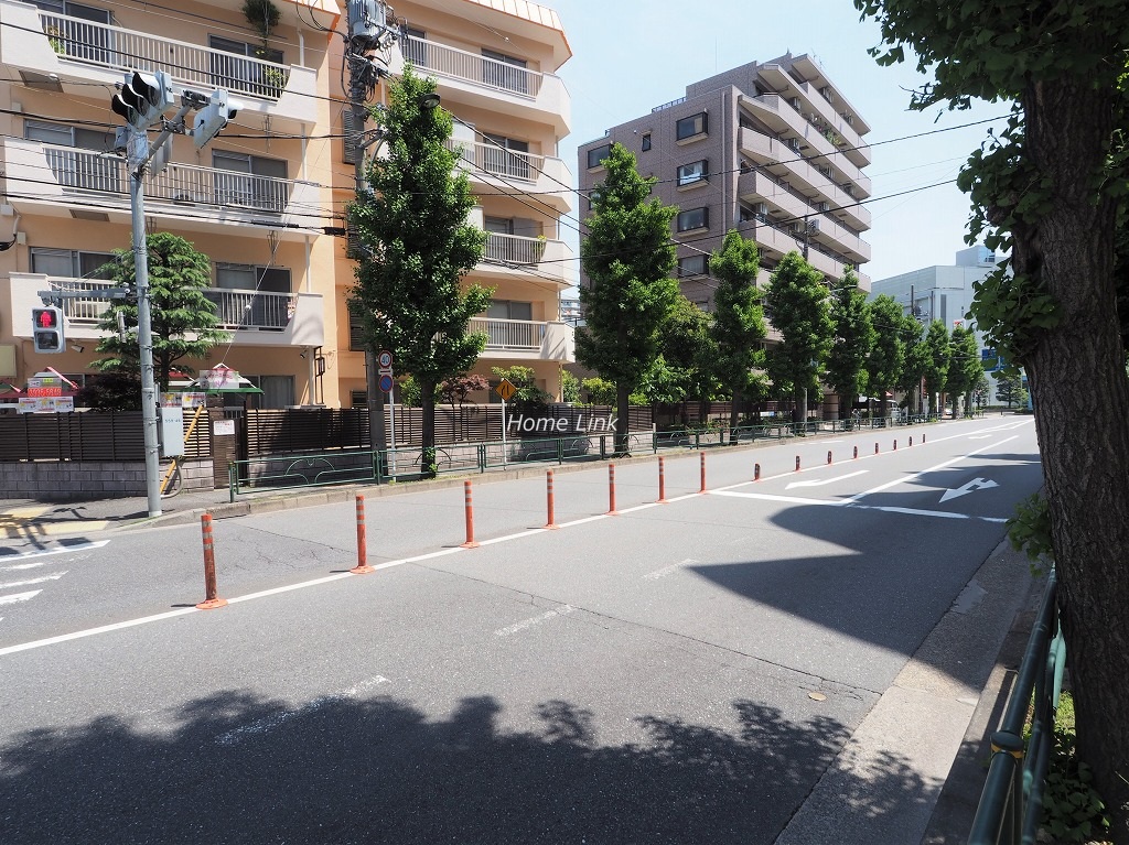 キャニオンマンション西台　前面道路